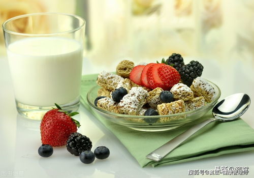 健康管理的核心 超越保健品，聚焦科學餐飲管理