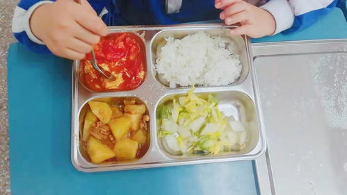 寶安小學校內(nèi)午餐午休 解決家長接娃難題，餐飲管理獲好評